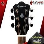 Am10sce electricity guitar, AM10sce, electric transparent, dark brown, beautiful brown, unusual, clear sound, clear, resonant