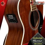 Am10sce electricity guitar, AM10sce, electric transparent, dark brown, beautiful brown, unusual, clear sound, clear, resonant