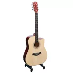 PASSION BPS41C 41 -inch guitar, Dreadnough shape, Linden Wooden Wooden Car