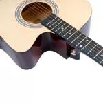 PASSION BPS41C 41 -inch guitar, Dreadnough shape, Linden Wooden Wooden Car