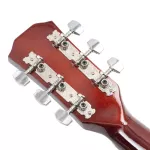 PASSION BPS41C 41 -inch guitar, Dreadnough shape, Linden Wooden Wooden Car