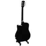 Passion BPS41C 41 -inch guitar, Dreadnough shape