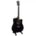 Passion BPS41C 41 -inch guitar, Dreadnough shape