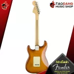 [100%USA] Electric guitar Fender American Performer Stratocaster SSS, HSS [Free giveaway] [With Set Up & QC] [Insurance from the Center] [100%authentic] [Free delivery] Turtle