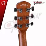 Airy guitar VELAH VDMM Natural color installation, more pickups, Double OS1, S1 Pro [free free gift] [with Set Up & QC] [100%authentic from zero] [Free delivery] Red turtle