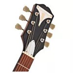 EPIPHONE® PRO-1, airy guitar 41 inches, Dreadnough shape, special selected Square/Mahogany Grinong, Graph Tech Nubone, varnish + free bag & kapo & pick