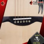 Naga Kotaro Oshio "Wings Wings Wings Series [free free gift] [with Set Up & QC easy to play] [Insurance from zero] [100%authentic] [Free delivery] Turtle