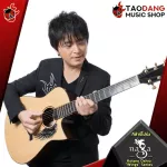 Naga Kotaro Oshio "Wings Wings Wings Series [free free gift] [with Set Up & QC easy to play] [Insurance from zero] [100%authentic] [Free delivery] Turtle