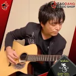 Naga Kotaro Oshio "Wings Wings Wings Series [free free gift] [with Set Up & QC easy to play] [Insurance from zero] [100%authentic] [Free delivery] Turtle