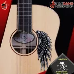 Naga Kotaro Oshio "Wings Wings Wings Series [free free gift] [with Set Up & QC easy to play] [Insurance from zero] [100%authentic] [Free delivery] Turtle