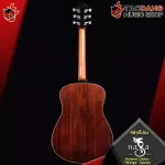 Naga Kotaro Oshio "Wings Wings Wings Series [free free gift] [with Set Up & QC easy to play] [Insurance from zero] [100%authentic] [Free delivery] Turtle