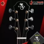 Naga Kotaro Oshio "Wings Wings Wings Series [free free gift] [with Set Up & QC easy to play] [Insurance from zero] [100%authentic] [Free delivery] Turtle