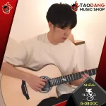 Naga Satoshi Gogo "Wind" Series Wind Series [free gift] [with Setup & QC easy to play] [Insurance from zero] [100%authentic] [Free delivery] Turtle