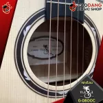 Naga Satoshi Gogo "Wind" Series Wind Series [free gift] [with Setup & QC easy to play] [Insurance from zero] [100%authentic] [Free delivery] Turtle