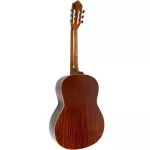 [Free delivery every day] Paramount CL-39 Classic Guitar 39 "Size 4/4 Genuine Top Slid Study Golden knobs Solid Spruce Top Classical Guitar