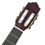 [Free delivery every day] Paramount CL-39 Classic Guitar 39 "Size 4/4 Genuine Top Slid Study Golden knobs Solid Spruce Top Classical Guitar