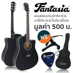 Fantasia 41 -inch guitar, Dreadnought shape, Sprueus/Linden QAG411M + free guitar bag & pickpoco & pic ** new acoustic guitar **