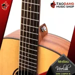 Veelah Mini Camper M EQ Fishman [Free gift] [with Set Up & QC Easy to play] [100%authentic from zero] [Free delivery] Turtle