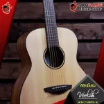 Veelah Mini Camper M EQ Fishman [Free gift] [with Set Up & QC Easy to play] [100%authentic from zero] [Free delivery] Turtle