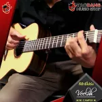 Veelah Mini Camper M EQ Fishman [Free gift] [with Set Up & QC Easy to play] [100%authentic from zero] [Free delivery] Turtle