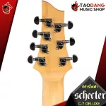 Electric guitar, schecter, electric guitar, SCHECTER C-7 Deluxe C7deluxe [Free free gift] [with Set Up & QC] [100%authentic from zero] [Free delivery] Turtle
