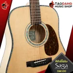 SAGA DM100 - Acoustic Guitar Saga DM100 [Free gift] [with Set Up & QC Easy to play] [Central insurance] [100%authentic] [Free delivery] Red turtles