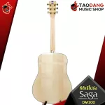 SAGA DM100 - Acoustic Guitar Saga DM100 [Free gift] [with Set Up & QC Easy to play] [Central insurance] [100%authentic] [Free delivery] Red turtles
