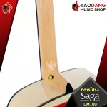 SAGA DM100 - Acoustic Guitar Saga DM100 [Free gift] [with Set Up & QC Easy to play] [Central insurance] [100%authentic] [Free delivery] Red turtles