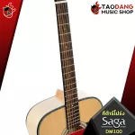 SAGA DM100 - Acoustic Guitar Saga DM100 [Free gift] [with Set Up & QC Easy to play] [Central insurance] [100%authentic] [Free delivery] Red turtles
