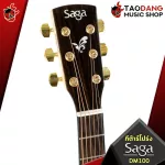 SAGA DM100 - Acoustic Guitar Saga DM100 [Free gift] [with Set Up & QC Easy to play] [Central insurance] [100%authentic] [Free delivery] Red turtles