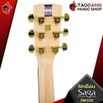 SAGA DM100 - Acoustic Guitar Saga DM100 [Free gift] [with Set Up & QC Easy to play] [Central insurance] [100%authentic] [Free delivery] Red turtles