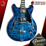 SEMI-HOLLOW BODY AS-335 Pro HPL EBONY Fingerboard [Free gift] [with Set Up & QC Easy to play] [100%authentic insurance] [Free delivery] Turtle