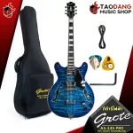 SEMI-HOLLOW BODY AS-335 Pro HPL EBONY Fingerboard [Free gift] [with Set Up & QC Easy to play] [100%authentic insurance] [Free delivery] Turtle