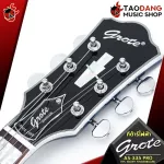 SEMI-HOLLOW BODY AS-335 Pro HPL EBONY Fingerboard [Free gift] [with Set Up & QC Easy to play] [100%authentic insurance] [Free delivery] Turtle