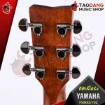 [Bangkok & Metropolitan Region Send Grab Quick] Electric guitar Yamaha FS800 [Free gift] [with Set Up & QC easy to play] [Insurance from the center] [100%authentic] [Free delivery] Red turtle