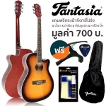 กีต้าร์โปร่ง Fantasia Acoustic Guitar 40 นิ้ว คอเว้า รุ่น QAG401G + แถมฟรีกระเป๋ากีตาร์โปร่ง & น้ำยาเช็ดกีตาร์ & ผ้าเช็ดกีตาร์ & ที่ขันลูกบิด & คาโป้