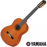 YAMAHA® GC12C Classical guitar, standard size 4/4 All solid, American, Cedar, Cedar/Seoul Mahogany + Free Case Star