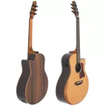 Paramount A2020 41 -inch electric guitar, top model, top solid, cedar/Rosewood Professional level + free bag & check set