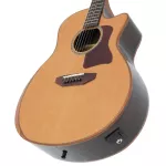 Paramount A2020 41 -inch electric guitar, top model, top solid, cedar/Rosewood Professional level + free bag & check set