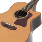 Paramount A2020 41 -inch electric guitar, top model, top solid, cedar/Rosewood Professional level + free bag & check set