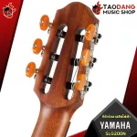 Classical guitar yamaha SLG200N [free free gift] [with Set Up & QC easy to play] [Center insurance] [100%authentic] [Free delivery] Turtle