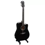 PASSION BPS41C 41 -inch guitar, Dreadnough shape, Linden Wooden Wooden Car