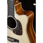 Gusta Dread Santos กีต้าร์โปร่ง Music