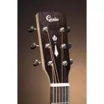 Gusta Grand Tigris กีต้าร์โปร่ง Music Arms