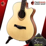 Amari Am408CTNE AM408CTNE AM-408CTN, AM-408CTNE [Free gift] [with SET Up & QC easy to play] [100%authentic] [Free delivery] Turtle