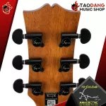 Amari Am408CTNE AM408CTNE AM-408CTN, AM-408CTNE [Free gift] [with SET Up & QC easy to play] [100%authentic] [Free delivery] Turtle