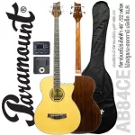 Paramount AB84CEN Electric Base Guitar Base guitar 46 " / 22 Frete Sprite Pickup 4-Band with XLR + free pockets ** 1 year center insurance **