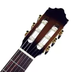 [Free delivery every day] Paramount SCG-50TBC Classic Study 39 inch TOP SLING SOLID SPRUCE TOP CLASSICAL GUITAR