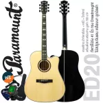 Paramount ED20 Acoustic Guitar, 41 inch acoustic guitar, Dreadnought style, concave neck, spruce/linden + free bag & cable set & pickpocket & pick
