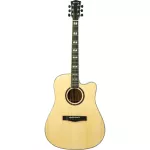 Paramount ED20 Acoustic Guitar, 41 inch acoustic guitar, Dreadnought style, concave neck, spruce/linden + free bag & cable set & pickpocket & pick